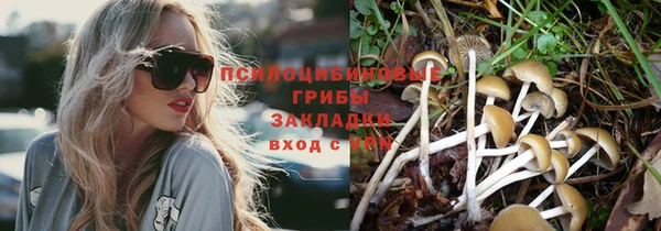 ешки Алзамай