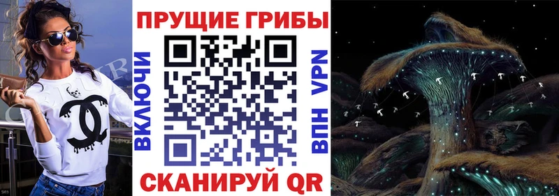 Галлюциногенные грибы Psilocybe  наркошоп  MEGA зеркало  Любань 